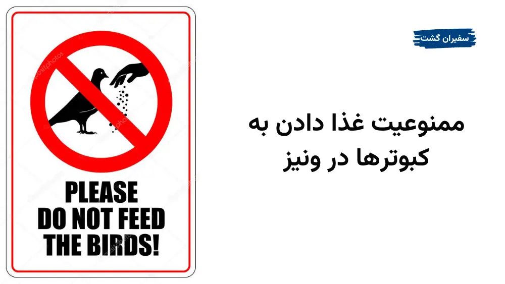 ممنوعیت غذا دادن به کبوترها در ونیز