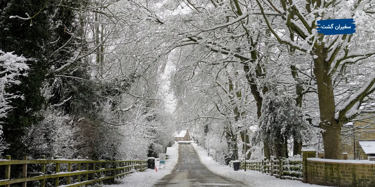 رفتار قیمت ارز و اثر آن بر هزینه سفر